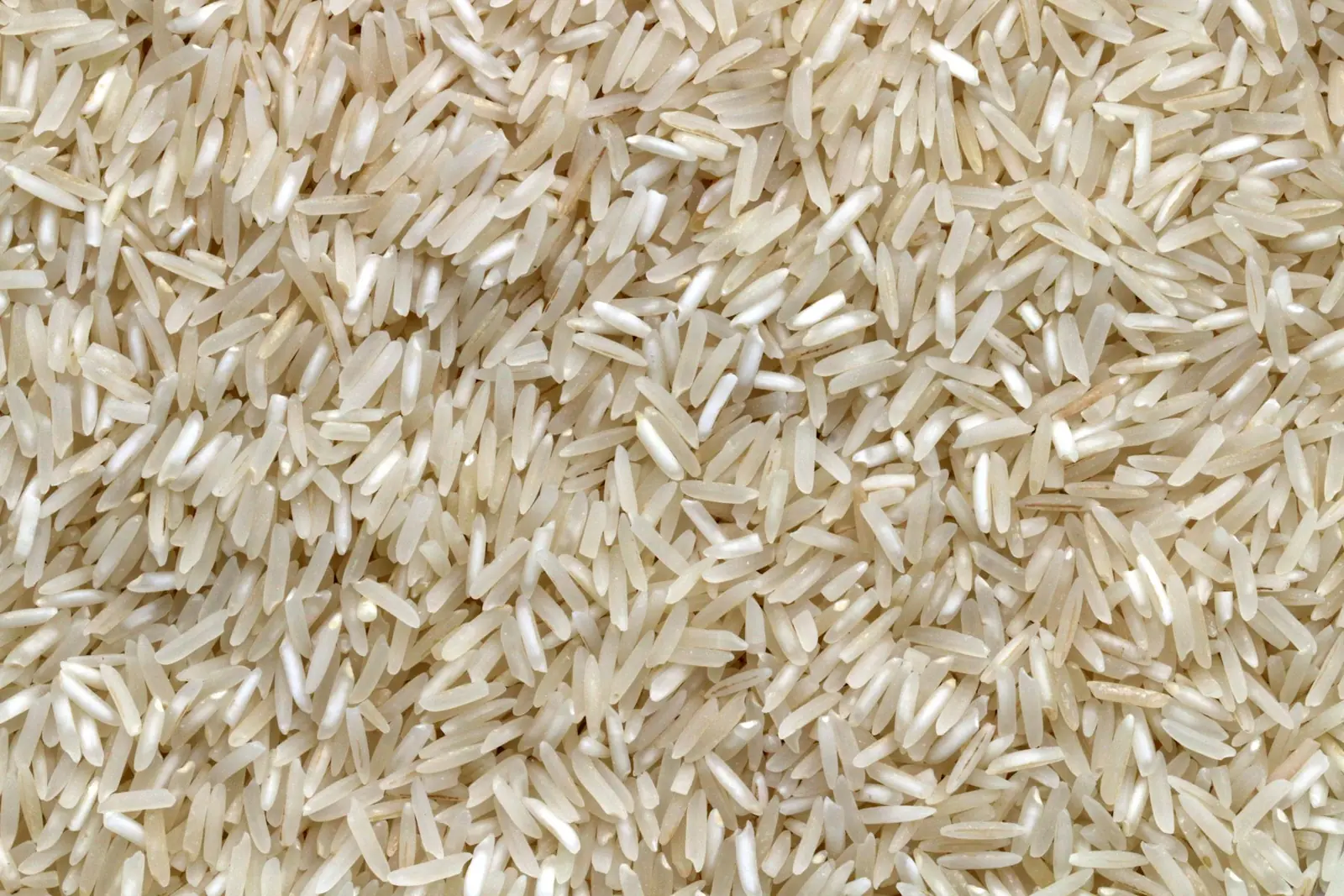Long-grain Pakistani Basmati rice for export